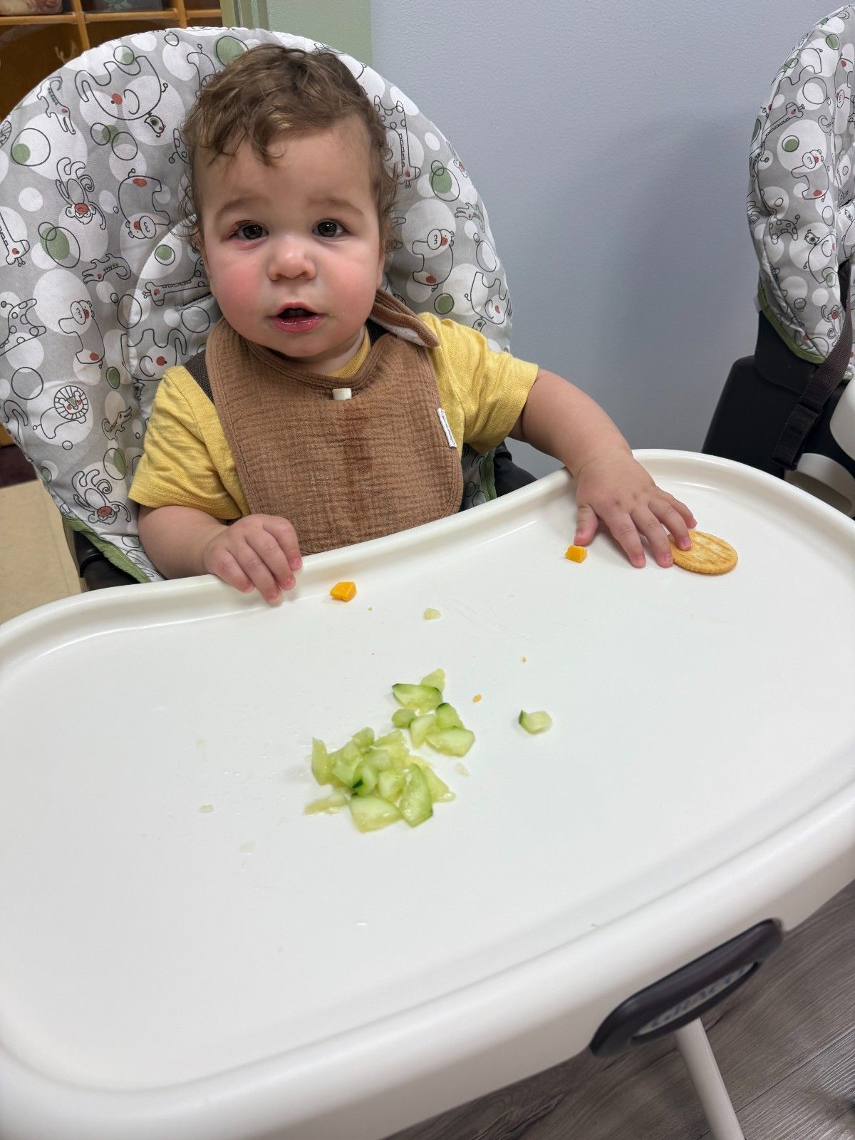 sleep-feeding-infant-daycare-tarrytown