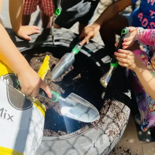 imgi_6_garden-quw59trtyhyvkj4j38xkna9ykq39sbzhtieqxigozs